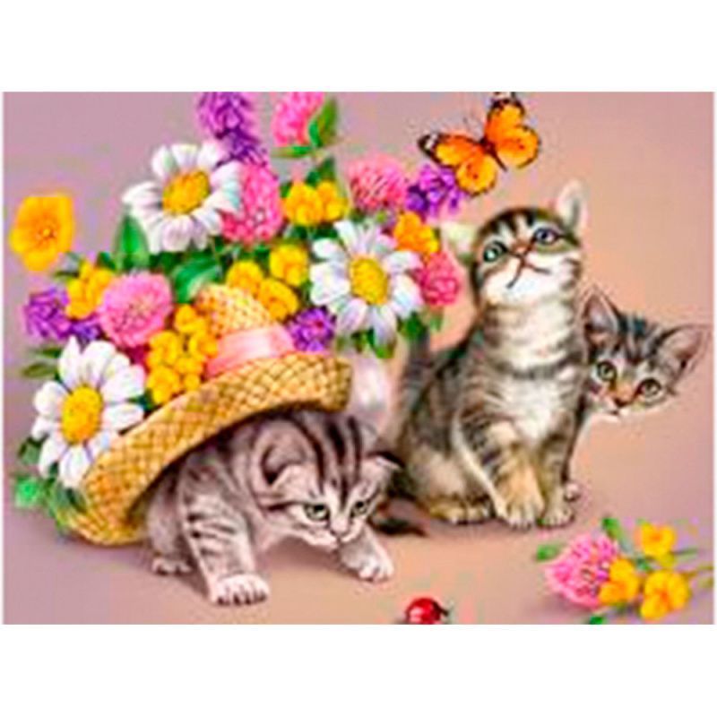 Изображение загружено обработкой обмена