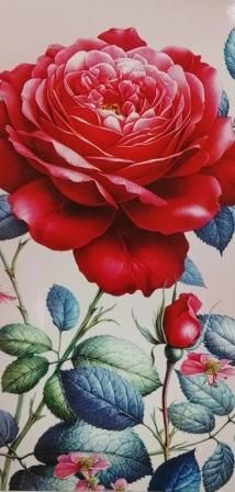 Изображение загружено обработкой обмена