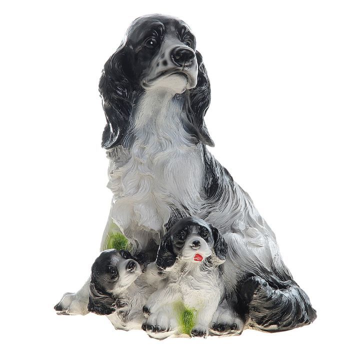 Изображение загружено обработкой обмена